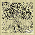 Circle Celtic Tree of Life Inked
